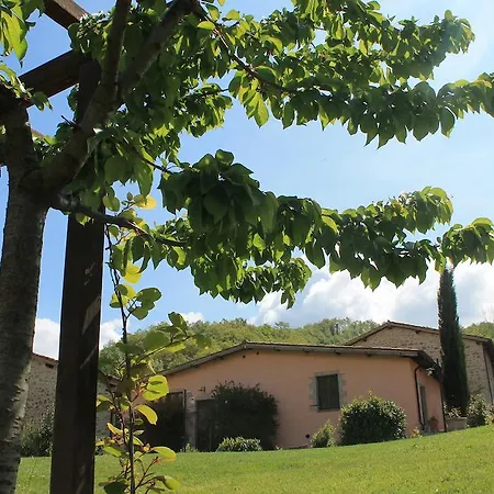 בית חווה Agriturismo Podere Dei Sassi *
