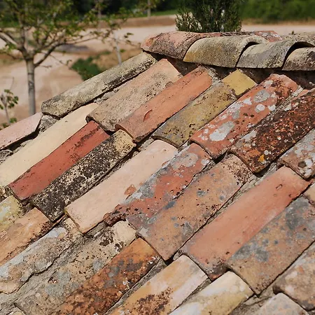 בית חווה Agriturismo Podere Dei Sassi *