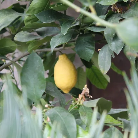 בית חווה Agriturismo Podere Dei Sassi *
